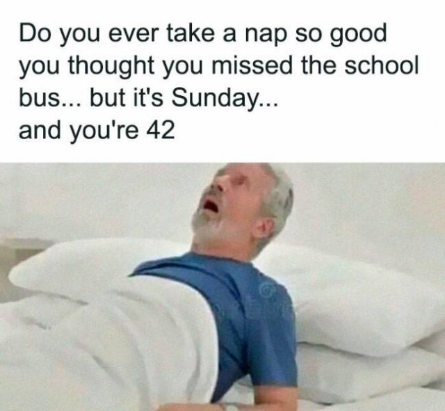 Random Memes (27 pics)