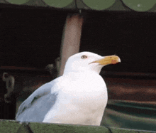 Myths Our Parents Taught Us (17 gifs)