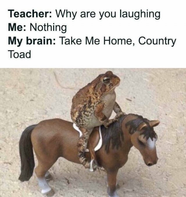 Random Memes (27 pics)