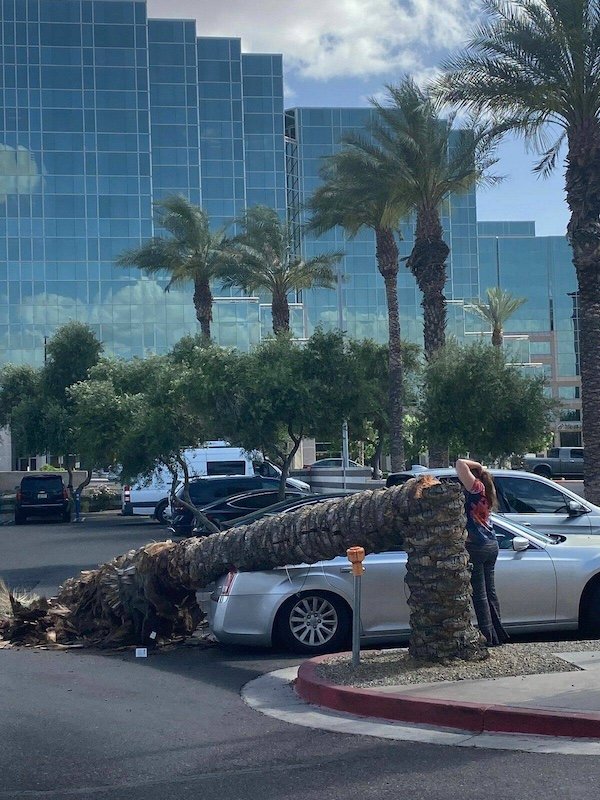 Unfortunate Car Accidents (29 pics)
