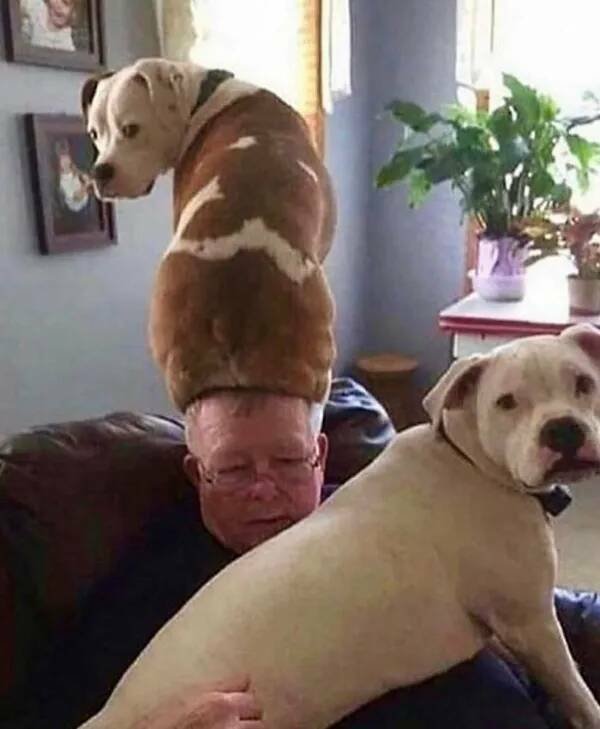What Is Going On Here? (24 pics)