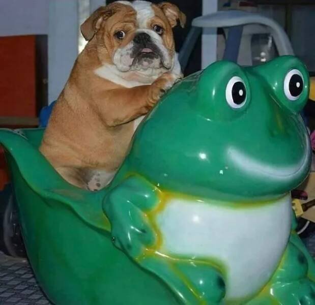 What Is Going On Here? (24 pics)