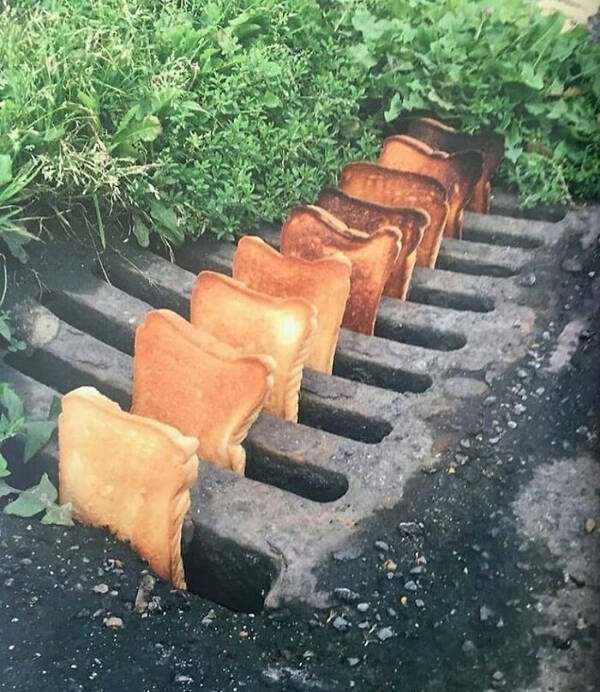 What Is Going On Here? (24 pics)