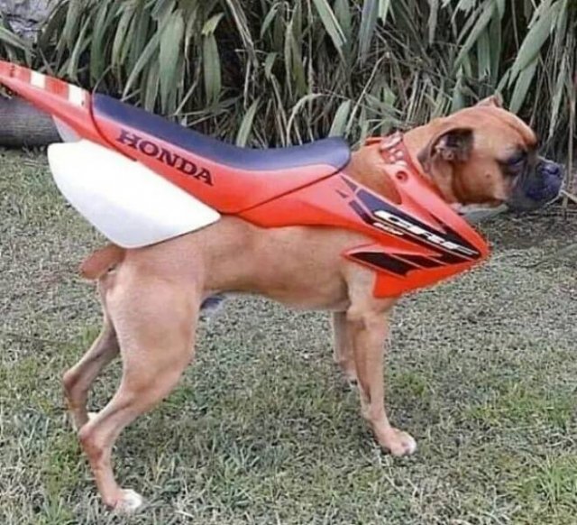 What Is Going On Here? (24 pics)