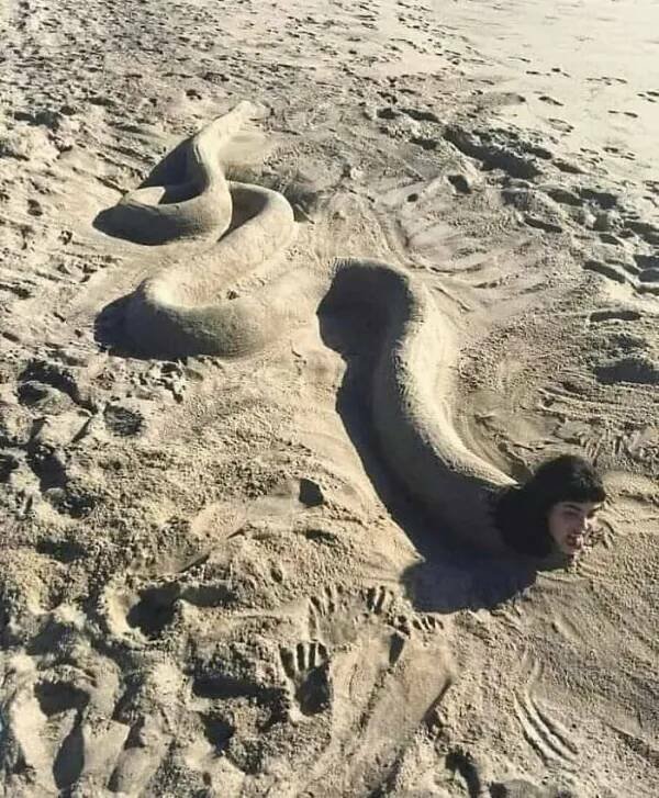 What Is Going On Here? (24 pics)
