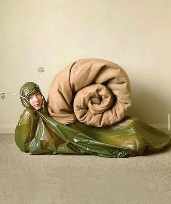 What Is Going On Here? (24 pics)