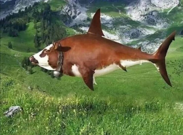 What Is Going On Here? (24 pics)