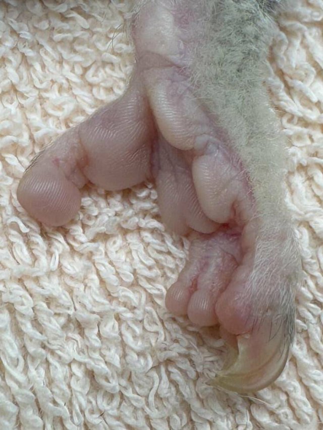 Interesting And Unusual Finds (25 pics)