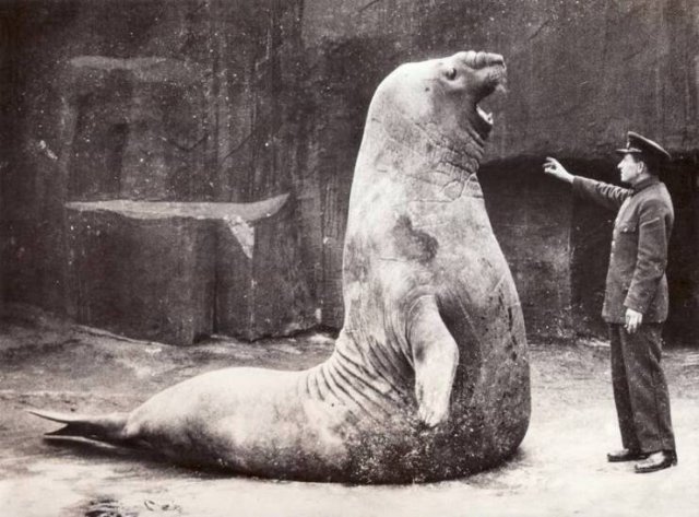 Interesting And Unusual Finds (25 pics)