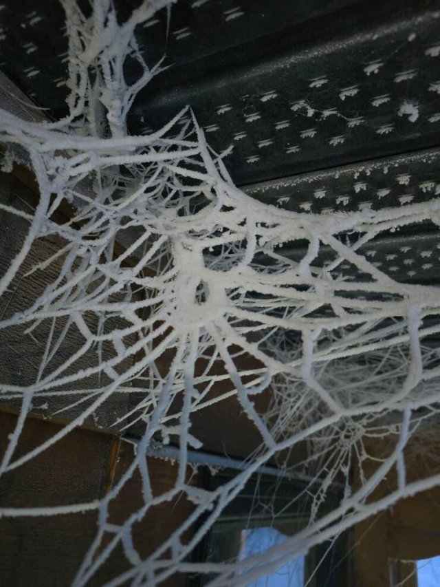 Interesting And Unusual Finds (25 pics)