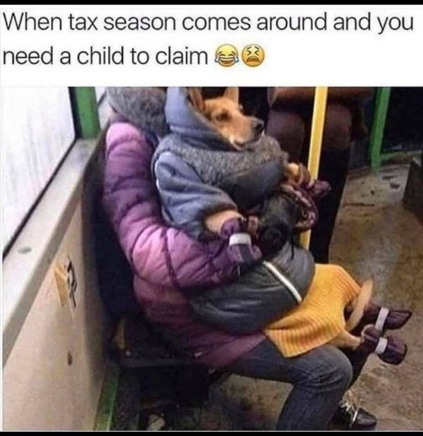 Funny Memes (23 pics)
