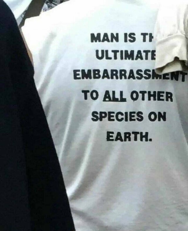 Funny And Weird T-Shirts (23 pics)