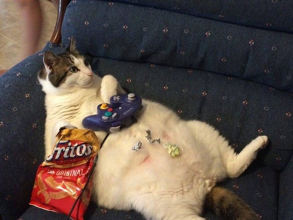 Jokes And Pictures For Gamers (33 pics)