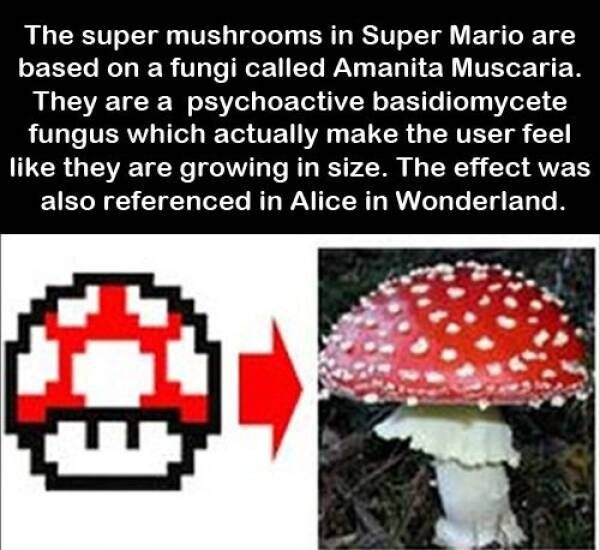 Jokes And Pictures For Gamers (33 pics)
