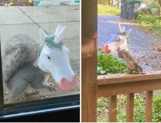Terrifying Photos (20 pics)