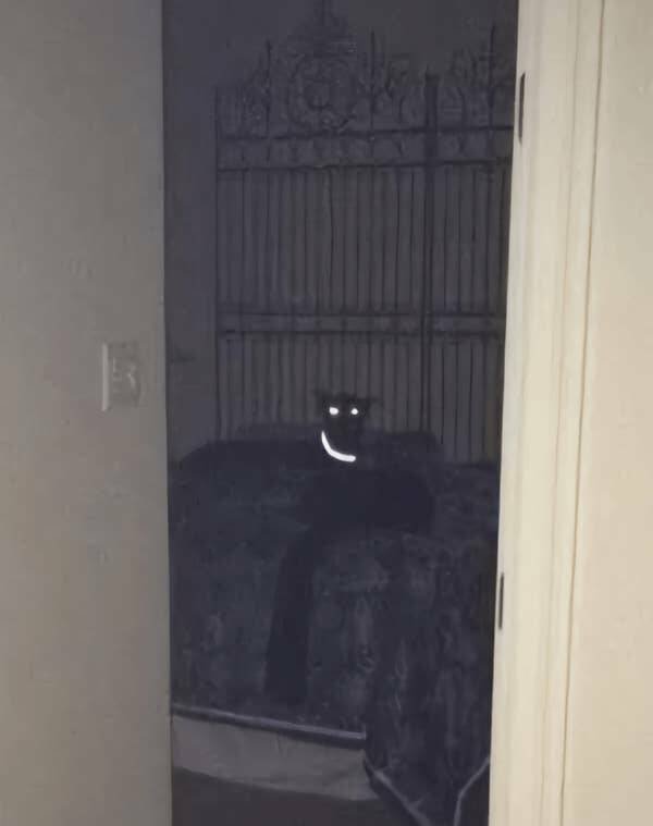 Terrifying Photos (20 pics)