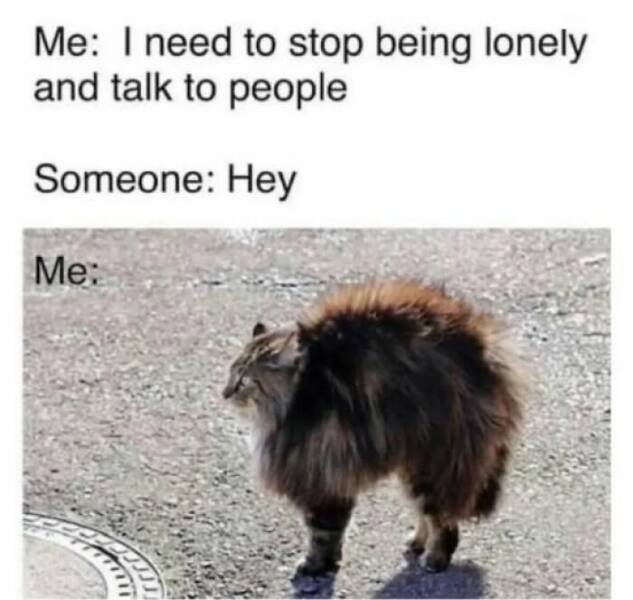 Jokes About Mental Health (24 pics)