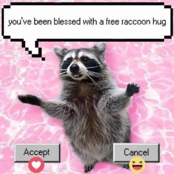 Positive Posts For A Good Mood (19 pics)