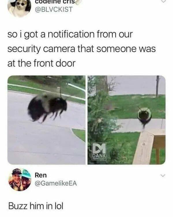 Positive Posts For A Good Mood (19 pics)