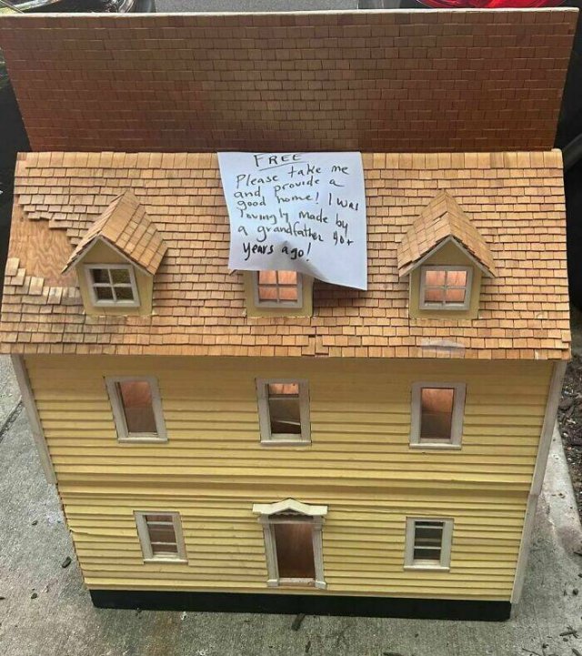 Free Roadside Finds (18 pics)