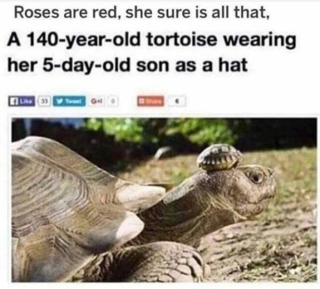 Positive Posts For A Good Mood (19 pics)