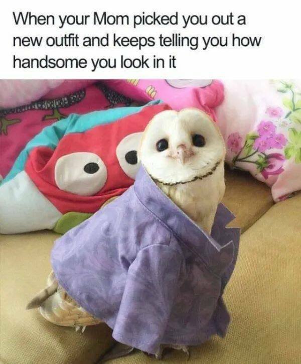 Positive Posts For A Good Mood (19 pics)