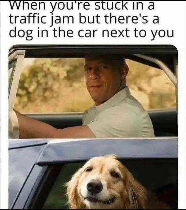 Positive Posts For A Good Mood (19 pics)