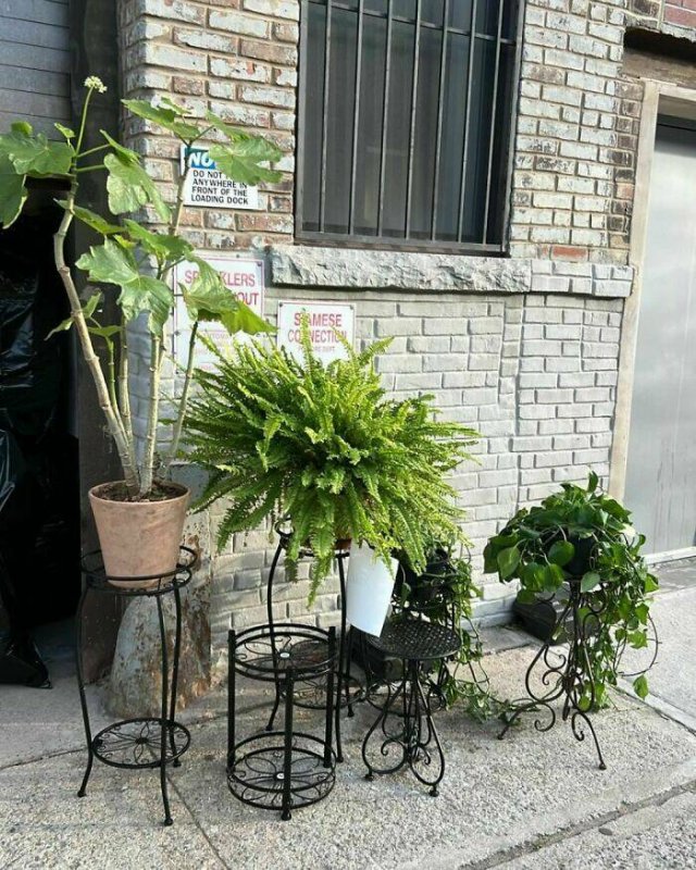 Free Roadside Finds (18 pics)