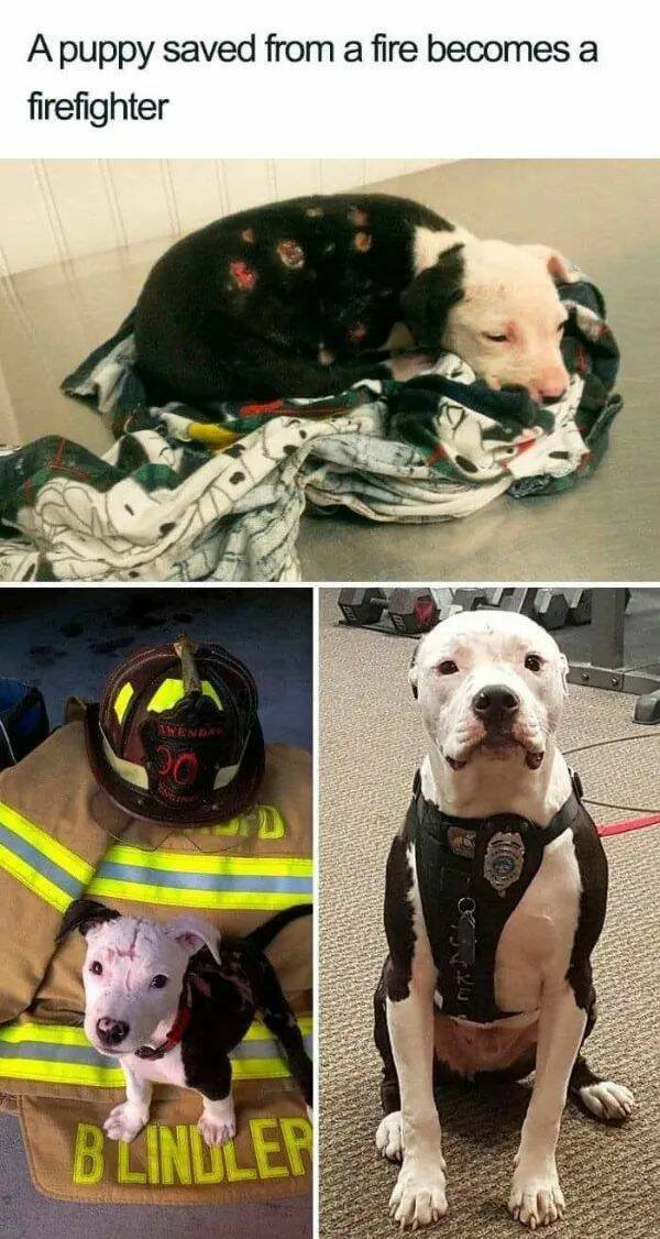 Positive Posts For A Good Mood (19 pics)
