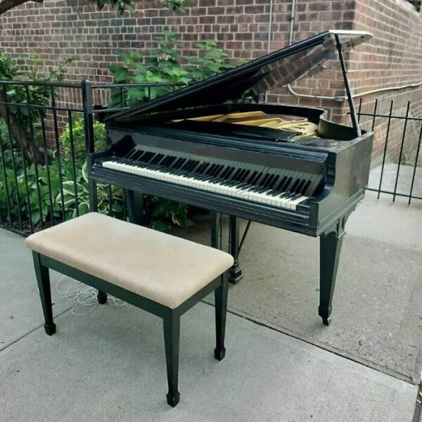 Free Roadside Finds (18 pics)