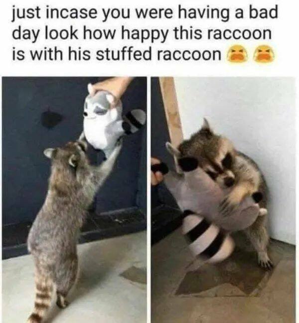 Positive Posts For A Good Mood (19 pics)