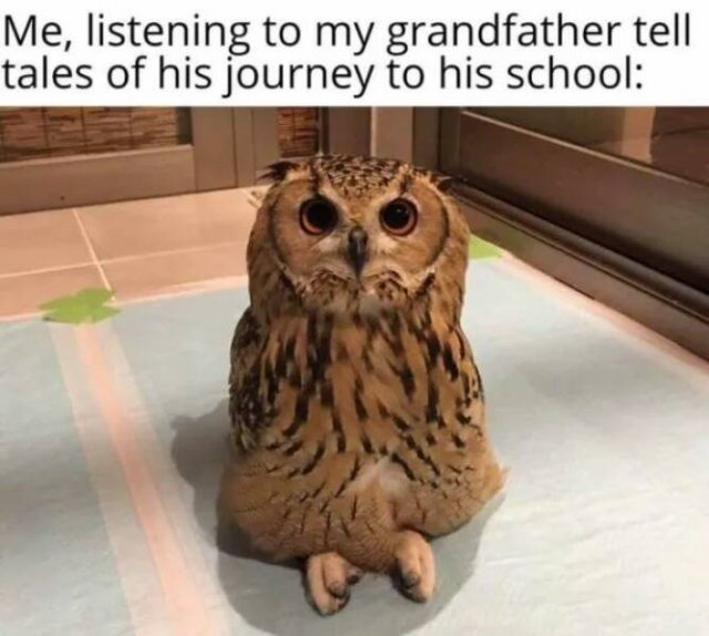 Positive Posts For A Good Mood (19 pics)