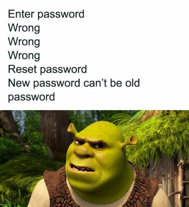 Memes For Programmers (15 pics)