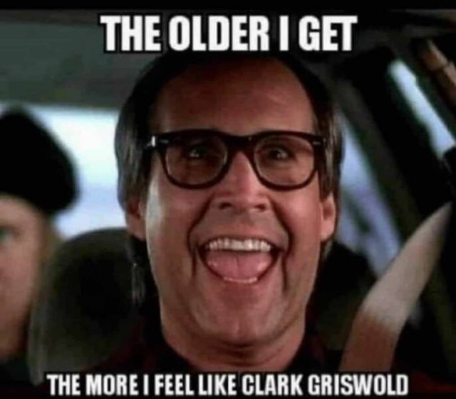 Nostalgic Memes (16 pics)