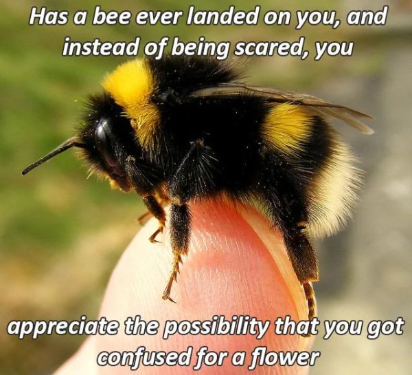 Kind Jokes (24 pics)