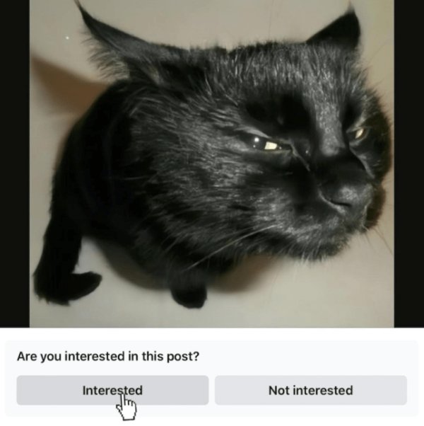 Kind Jokes (24 pics)