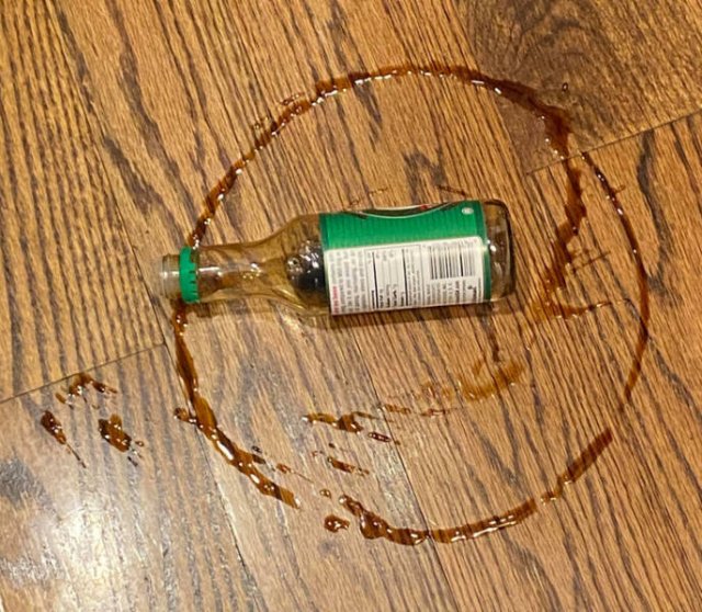 Surprising Finds (14 pics)