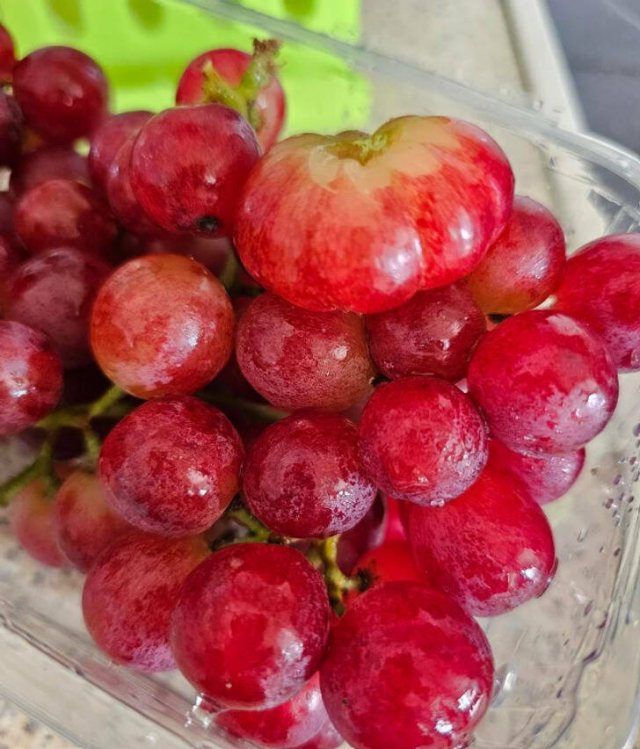 Surprising Finds (14 pics)