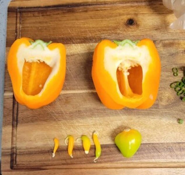 Surprising Finds (14 pics)