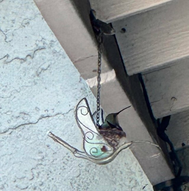 Surprising Finds (14 pics)