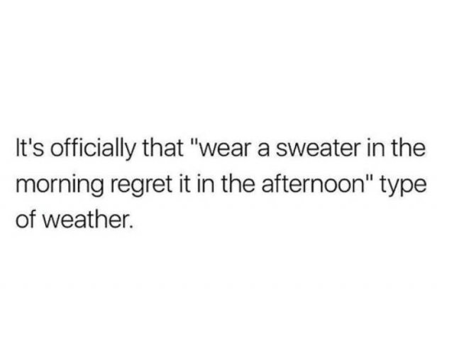 Spring Memes (25 pics)