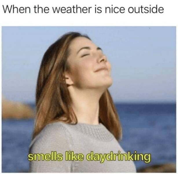 Spring Memes (25 pics)