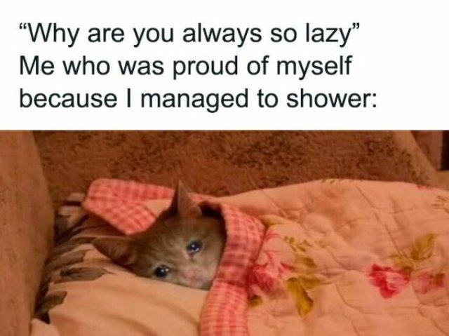 Memes For Introverts (25 pics)
