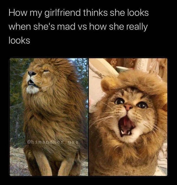 Jokes About Love And Relationships (29 pics)