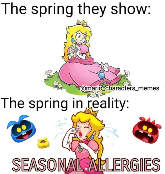 Spring Memes (25 pics)
