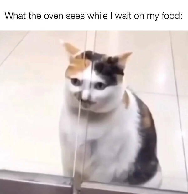 Funny Memes (24 pics)