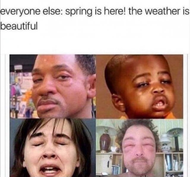 Spring Memes (25 pics)