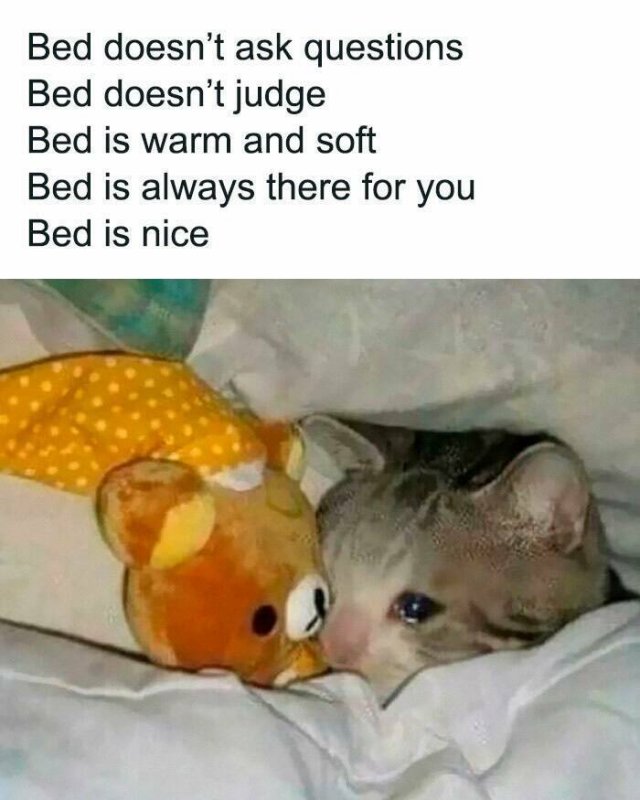Memes For Introverts (25 pics)