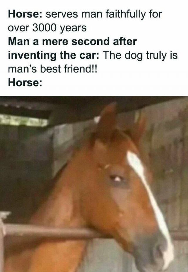Memes For Introverts (25 pics)