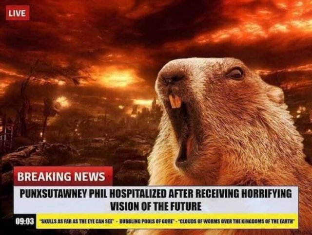 Spring Memes (25 pics)